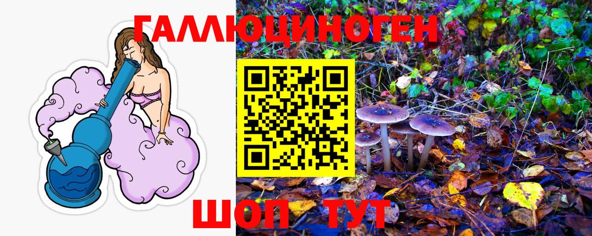 Галлюциногенные грибы GOLDEN TEACHER  Вход с VPN  Псков 