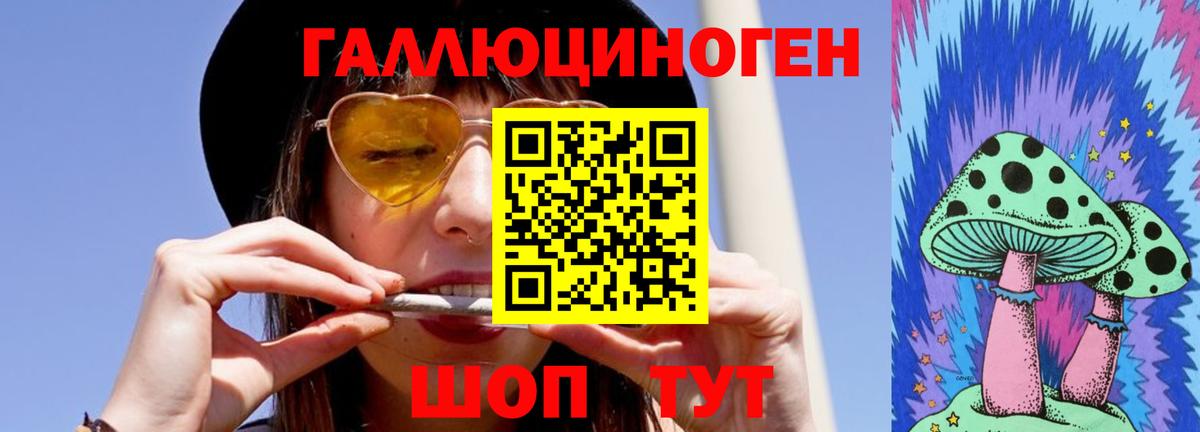 Псилоцибиновые грибы Cubensis Псков