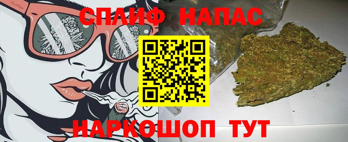 Бошки Шишки планчик Псков